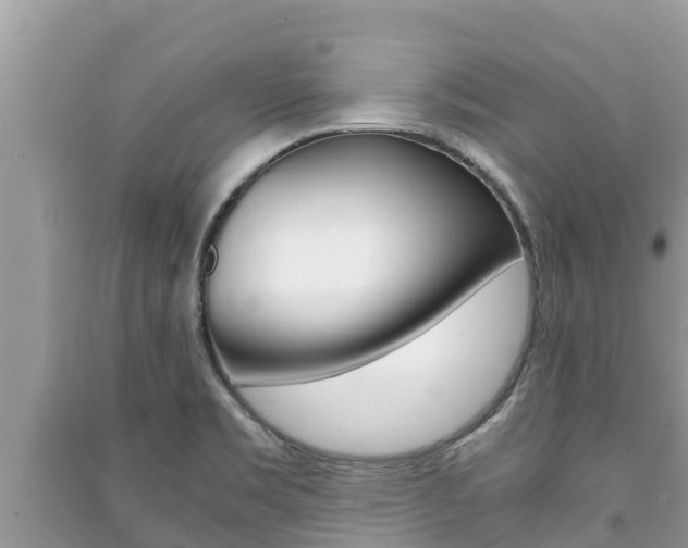 X0000091221469200708091127