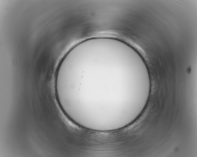 X0000091221470200708091127