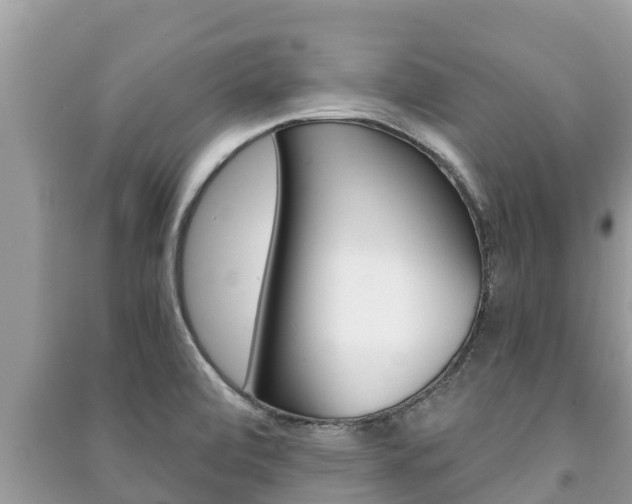 X0000091221472200708091127