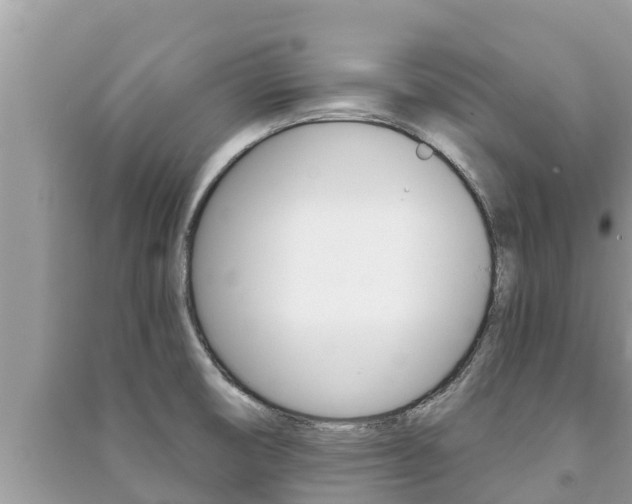 X0000091221474200708091126