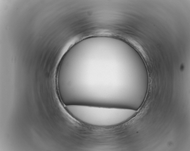 X0000091221475200708091126