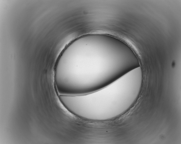 X0000091221476200708091126