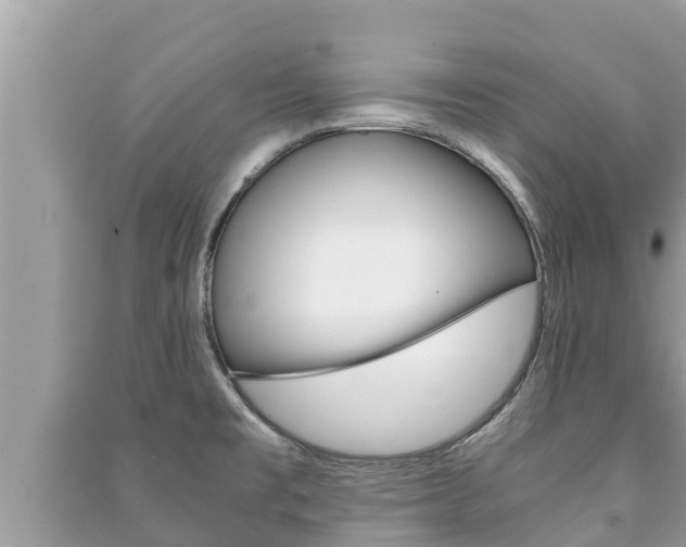 X0000091221477200708091126