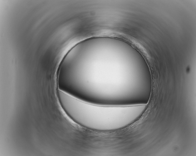 X0000091221479200708091126