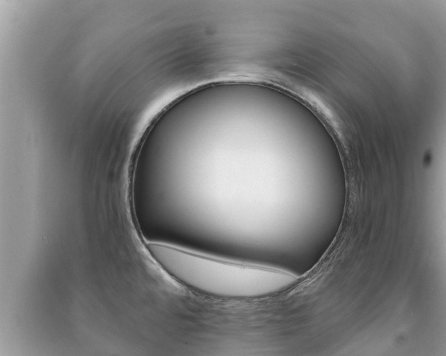 X0000091221480200708091126