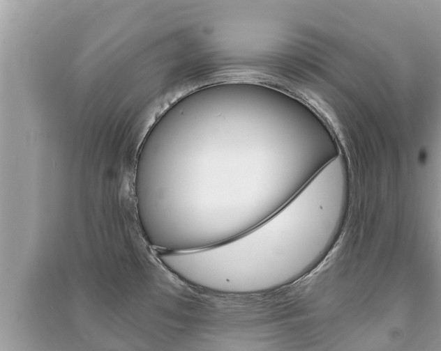 X0000091221481200708091126
