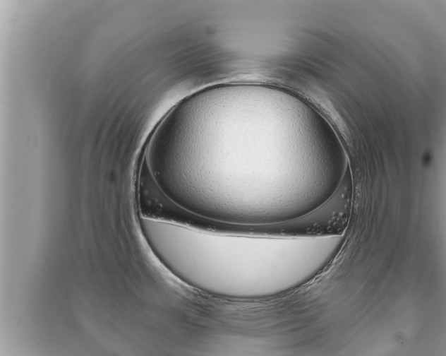 X0000091221483200708091126