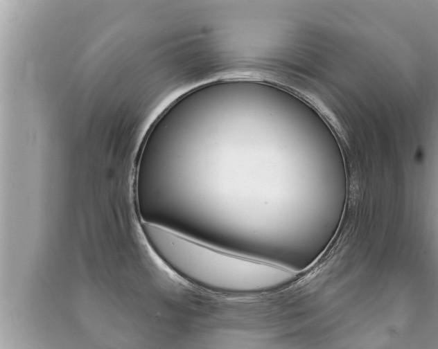 X0000091221484200708091126