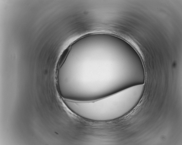 X0000091221485200708091126