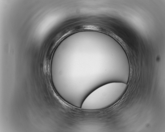 X0000091221487200708091126