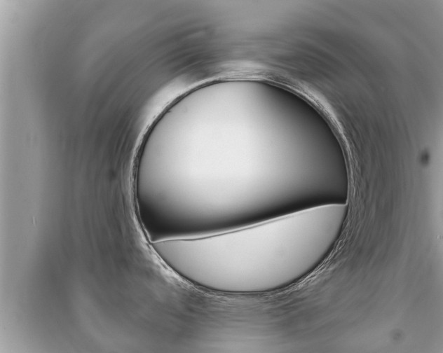 X0000091221488200708091126