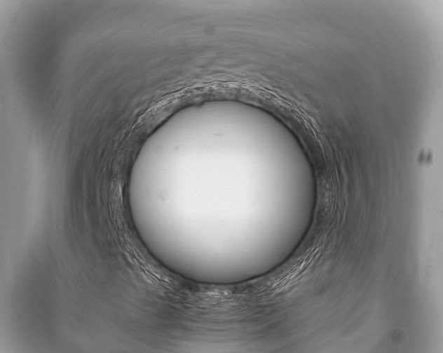 X0000091221489200708091126