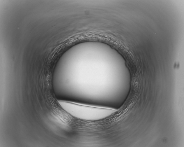 X0000091221490200708091126