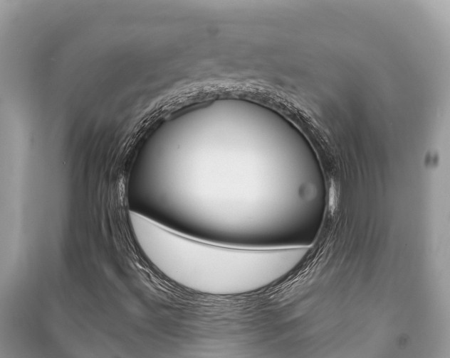X0000091221492200708091126