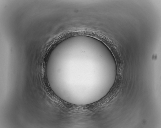 X0000091221493200708091126