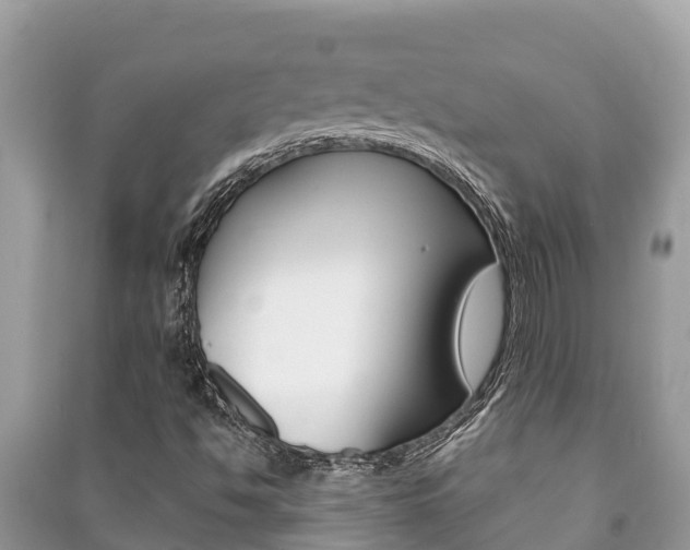 X0000091221494200708091126