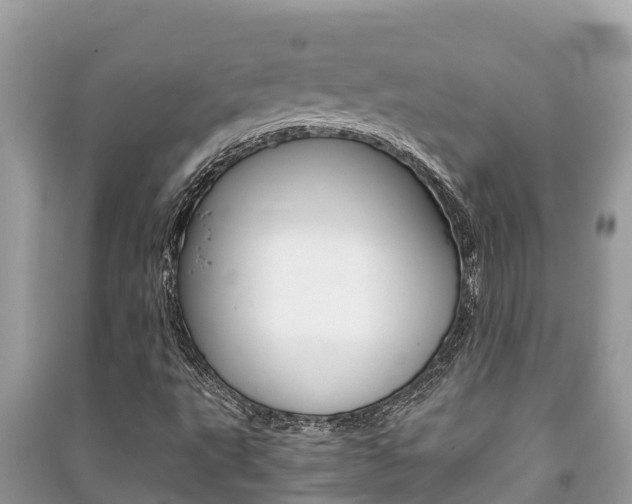 X0000091221495200708091126