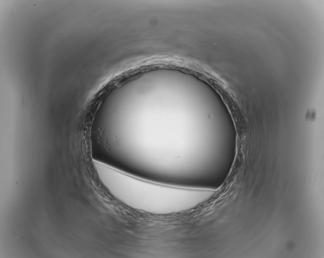 X0000091221496200708091126