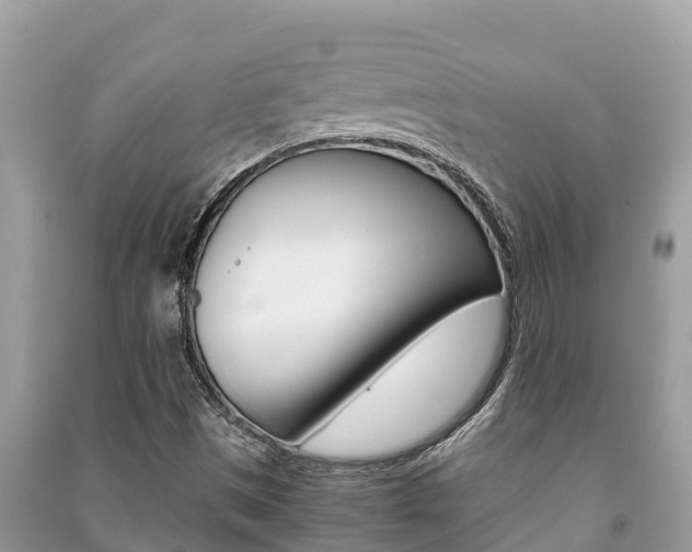 X0000091221497200708091126