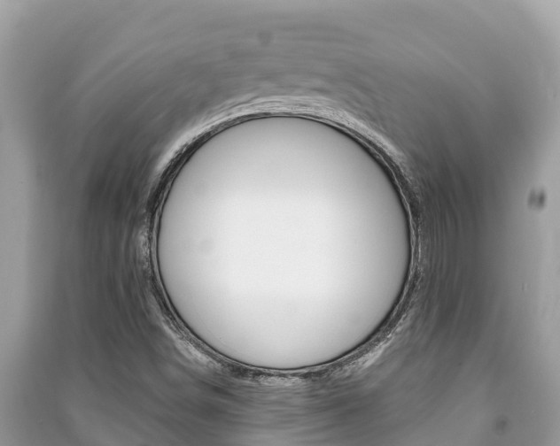 X0000091221498200708091126