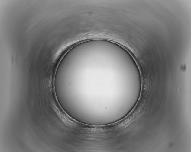 X0000091221499200708091126