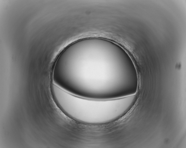 X0000091221500200708091126