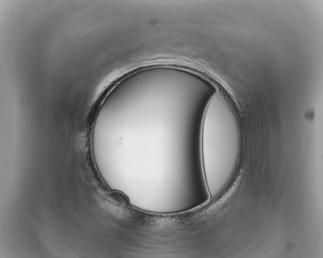 X0000091221501200708091126