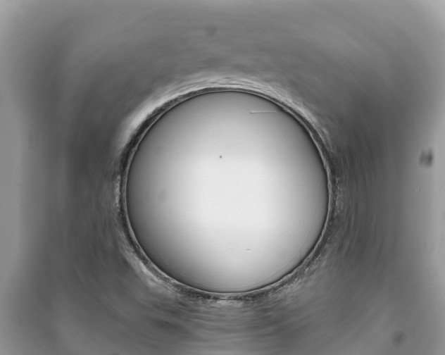 X0000091221503200708091126