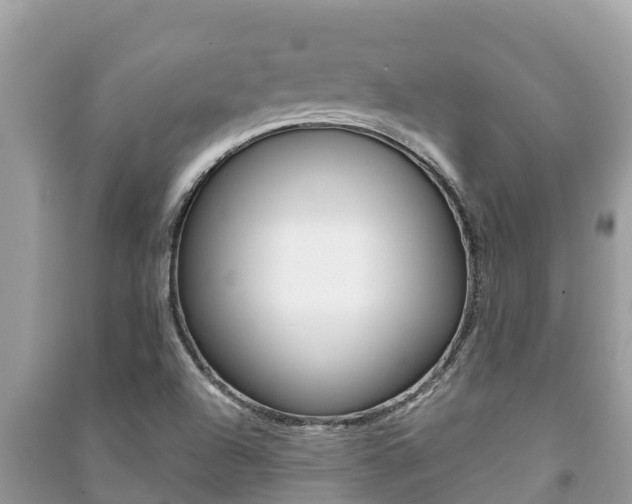 X0000091221504200708091126