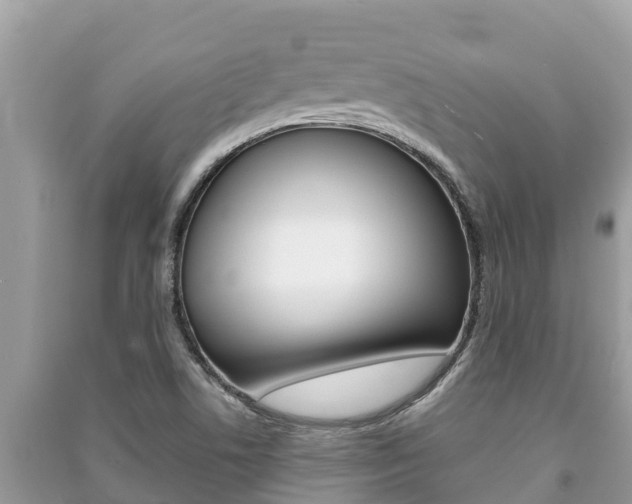 X0000091221506200708091126