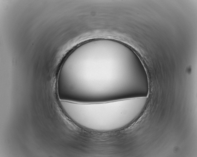 X0000091221507200708091126