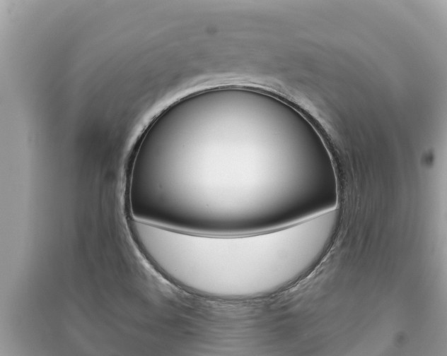 X0000091221508200708091126