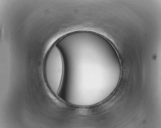X0000091221511200708091126