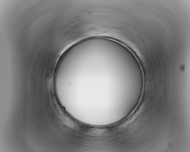 X0000091221513200708091126