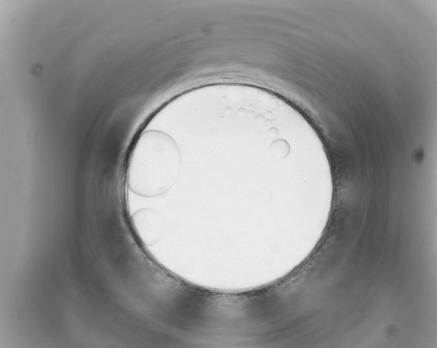 X0000091221514200708091126