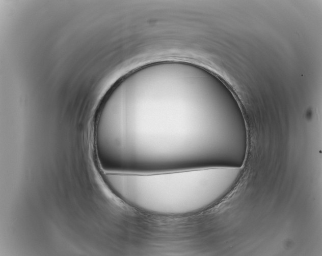 X0000091221515200708091126
