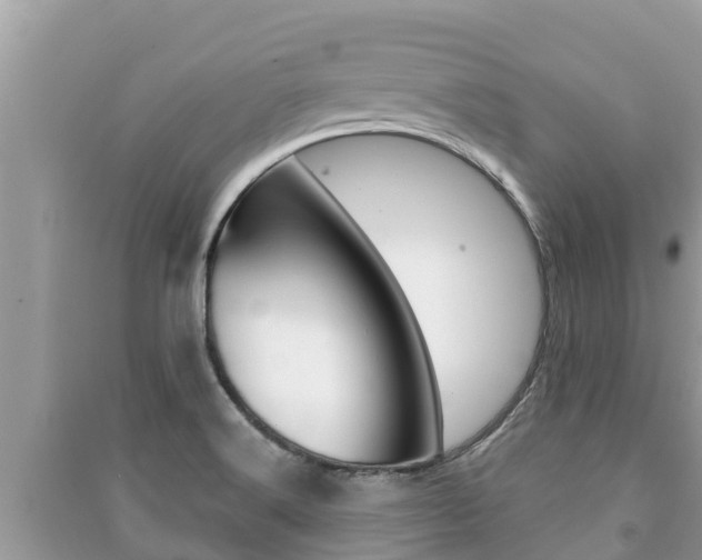 X0000091221516200708091126
