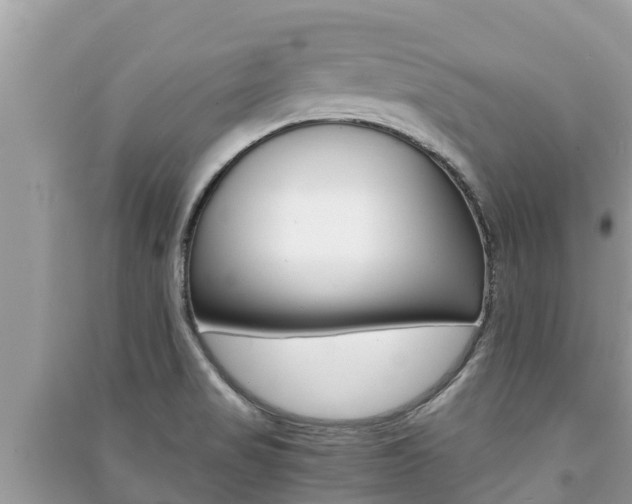 X0000091221517200708091126