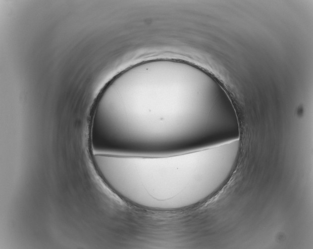 X0000091221518200708091126