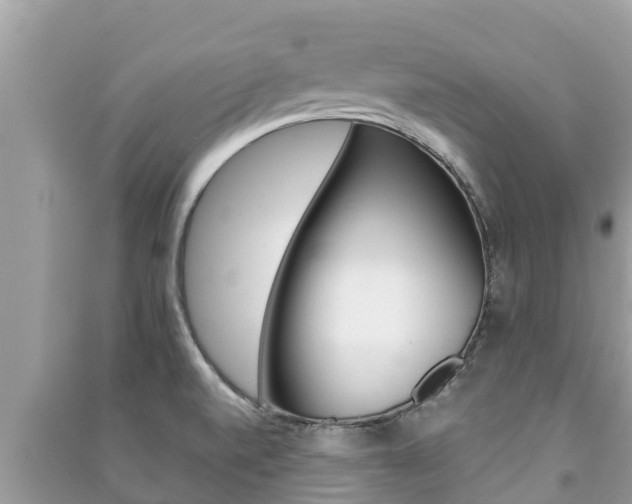 X0000091221520200708091126