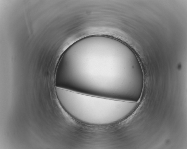 X0000091221521200708091126