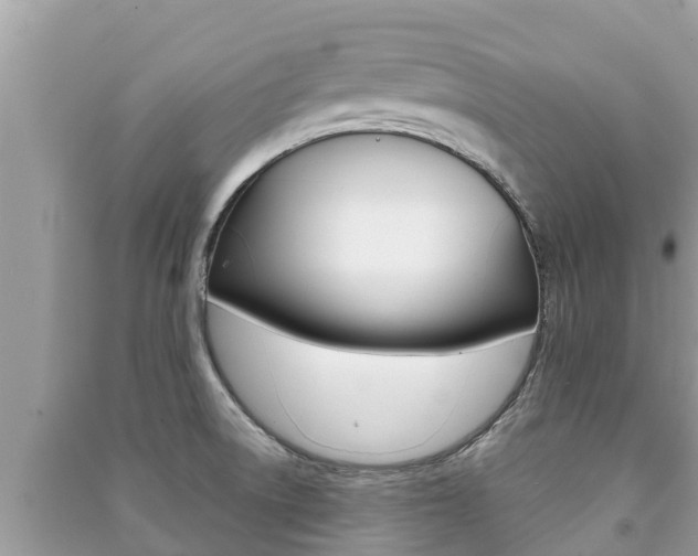 X0000091221522200708091126