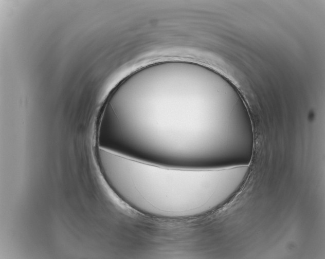 X0000091221523200708091126