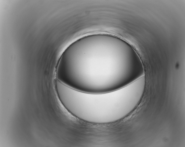 X0000091221524200708091126