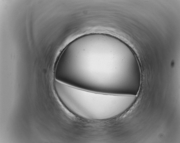 X0000091221525200708091126