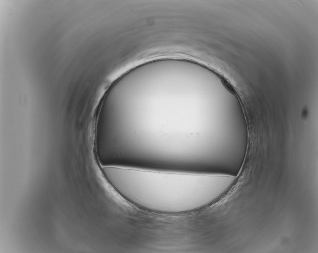 X0000091221526200708091126