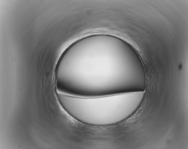 X0000091221527200708091126