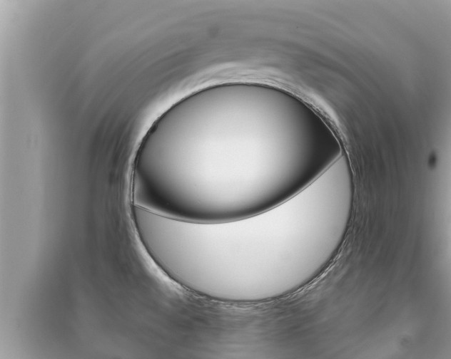 X0000091221528200708091126