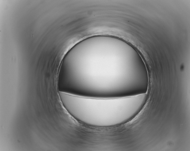 X0000091221529200708091126