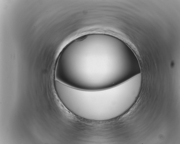 X0000091221530200708091126